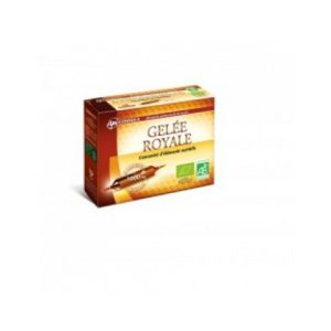 GELEE ROYALE CONCENTRÉ D'ÉLÉMENTS NUTRITIFS 10 AMPOULES 1000 MG BUVABLES
